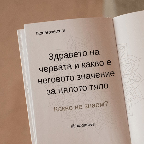 Здравето на червата и какво е неговото значение за цялото тяло