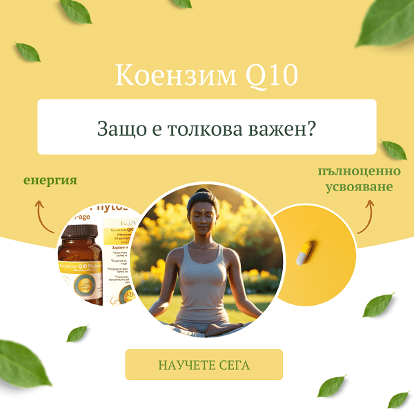 Коензим Q10: Защо е толкова важен?
