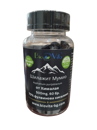 Шилагит мумио БиоВита, 60 дъвчащи дражета